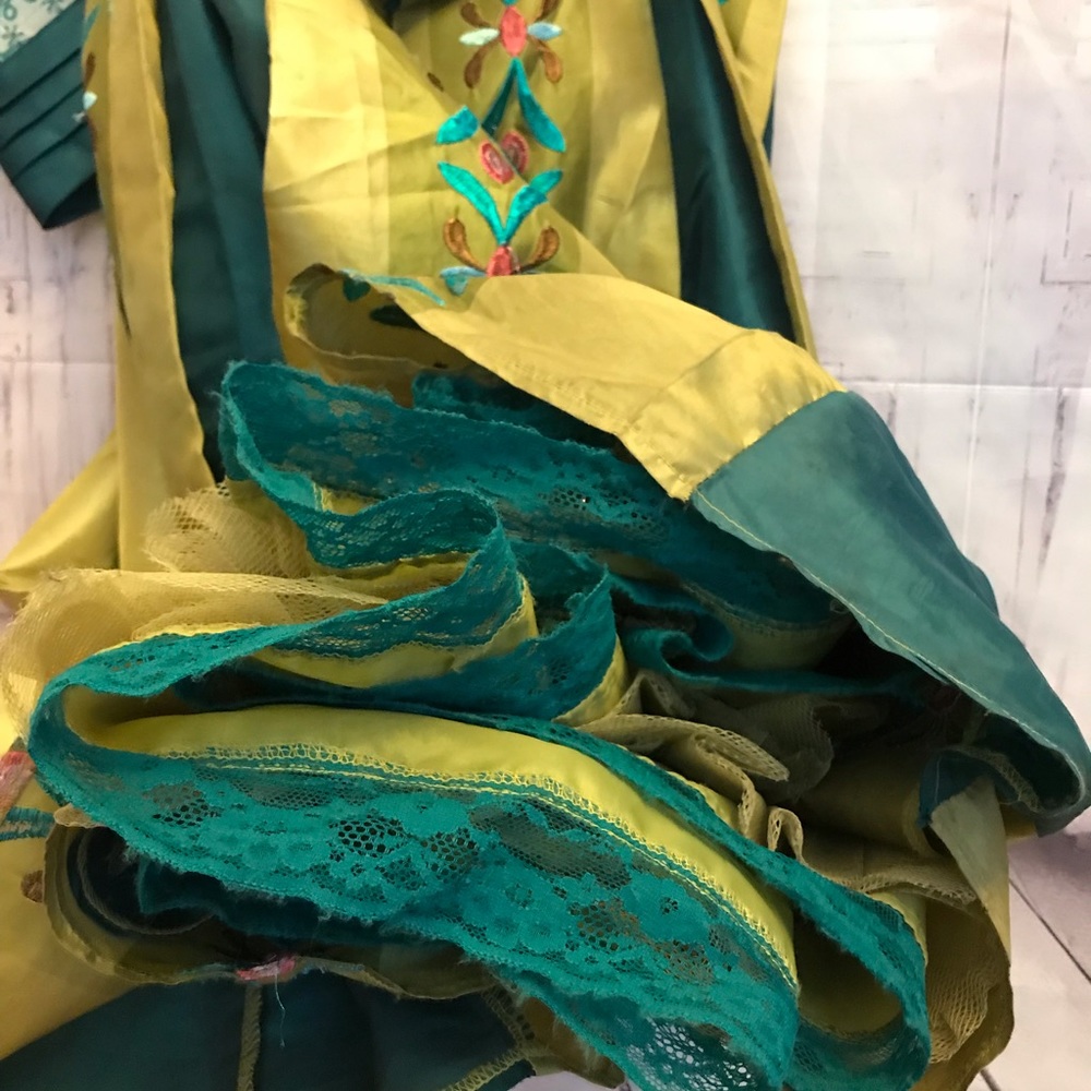 Disney frozen Anna dress - Picture 6 of 8